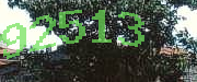 Sorry, this is a captcha