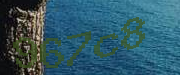 Sorry, this is a captcha