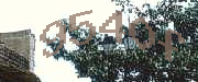Sorry, this is a captcha