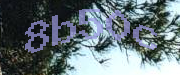 Sorry, this is a captcha