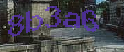 Sorry, this is a captcha