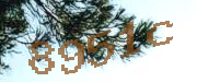 Sorry, this is a captcha