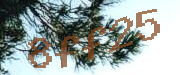 Sorry, this is a captcha