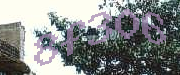 Sorry, this is a captcha