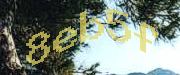 Sorry, this is a captcha