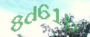 Sorry, this is a captcha