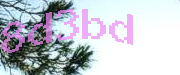 Sorry, this is a captcha