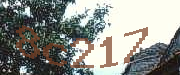 Sorry, this is a captcha