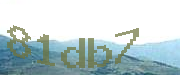 Sorry, this is a captcha