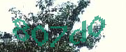 Sorry, this is a captcha