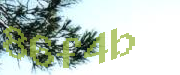 Sorry, this is a captcha