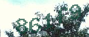 Sorry, this is a captcha