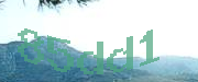 Sorry, this is a captcha