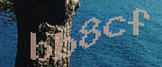 Sorry, this is a captcha