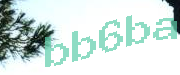 Sorry, this is a captcha
