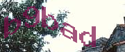 Sorry, this is a captcha