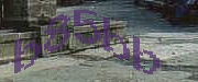 Sorry, this is a captcha