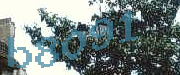 Sorry, this is a captcha