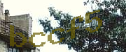 Sorry, this is a captcha