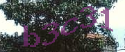 Sorry, this is a captcha