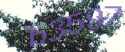 Sorry, this is a captcha