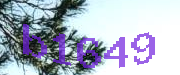 Sorry, this is a captcha