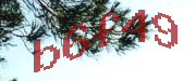 Sorry, this is a captcha