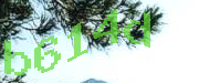 Sorry, this is a captcha
