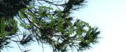 Sorry, this is a captcha