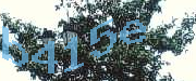 Sorry, this is a captcha