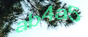 Sorry, this is a captcha