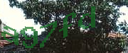 Sorry, this is a captcha