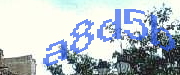 Sorry, this is a captcha
