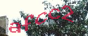 Sorry, this is a captcha