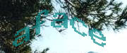 Sorry, this is a captcha