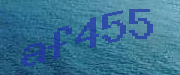 Sorry, this is a captcha