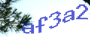 Sorry, this is a captcha