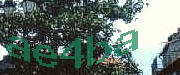 Sorry, this is a captcha