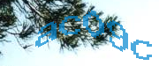 Sorry, this is a captcha