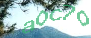 Sorry, this is a captcha