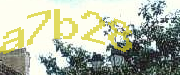 Sorry, this is a captcha