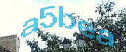 Sorry, this is a captcha
