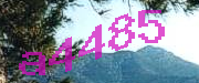 Sorry, this is a captcha