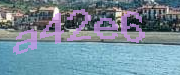 Sorry, this is a captcha