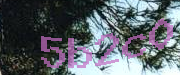 Sorry, this is a captcha