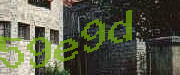 Sorry, this is a captcha
