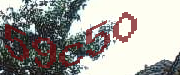 Sorry, this is a captcha
