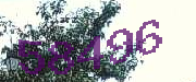 Sorry, this is a captcha