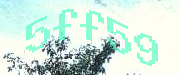 Sorry, this is a captcha