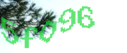Sorry, this is a captcha